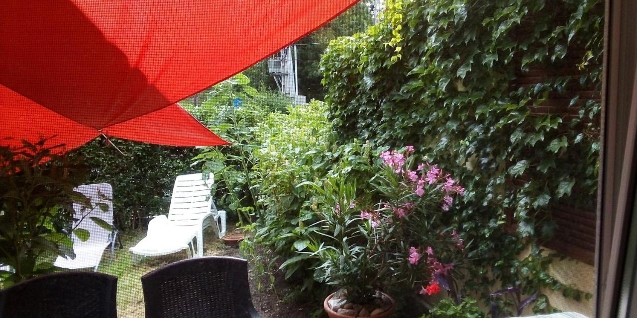 Apartmán Vadszolo Vendeghaz Cák Exteriér fotografie