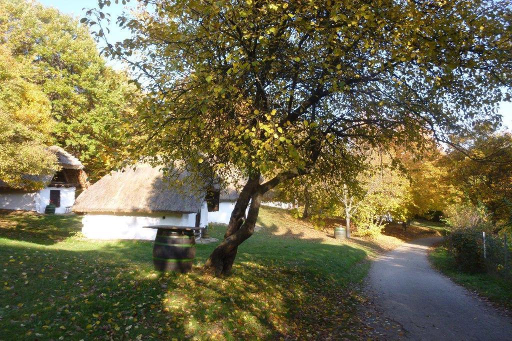 Apartmán Vadszolo Vendeghaz Cák Exteriér fotografie